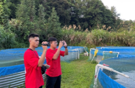 免费黑料网站