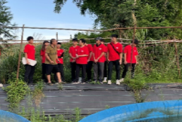 免费黑料网站
